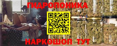 гидропоника Анжеро-Судженск