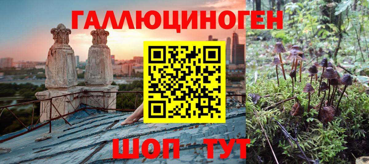 Псилоцибиновые грибы прущие грибы  Вход с VPN  Горно-Алтайск  Псилоцибиновые грибы мицелий 